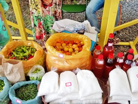 Direto das comunidades quilombolas do Baixo Sul: produtos da agricultura familiar