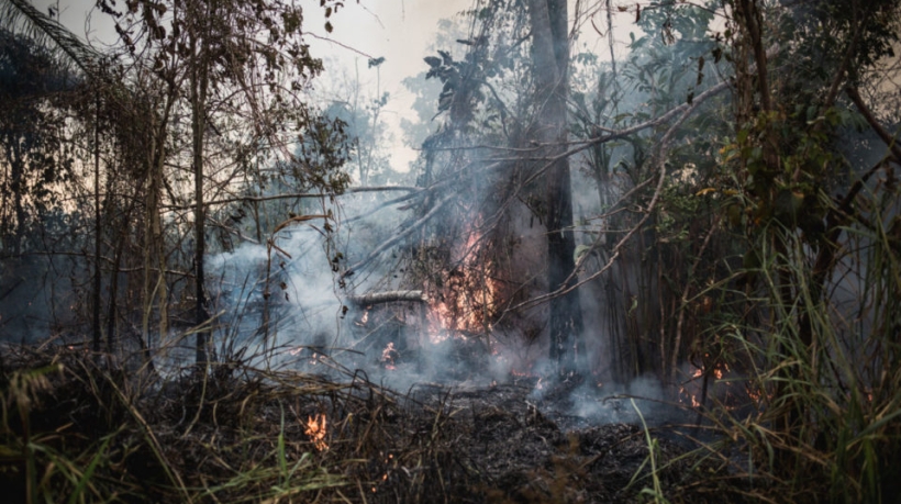 Arde el Amazonas (Nacho Yuchark/La Vaca)