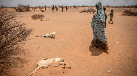 Atualmente a Somália vive situações de calamidade humanitária por consequência de desastres naturais, como as secas multi-sazonais que acontecem em vários períodos climáticos do ano. Foto: https://infolliteras.com/