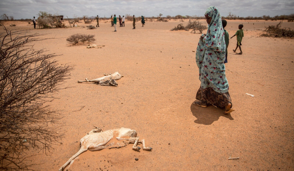 Atualmente a Somália vive situações de calamidade humanitária por consequência de desastres naturais, como as secas multi-sazonais que acontecem em vários períodos climáticos do ano. Foto: https://infolliteras.com/
