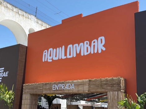 WhatsApp Image 2026-01-12 at 11.03.35